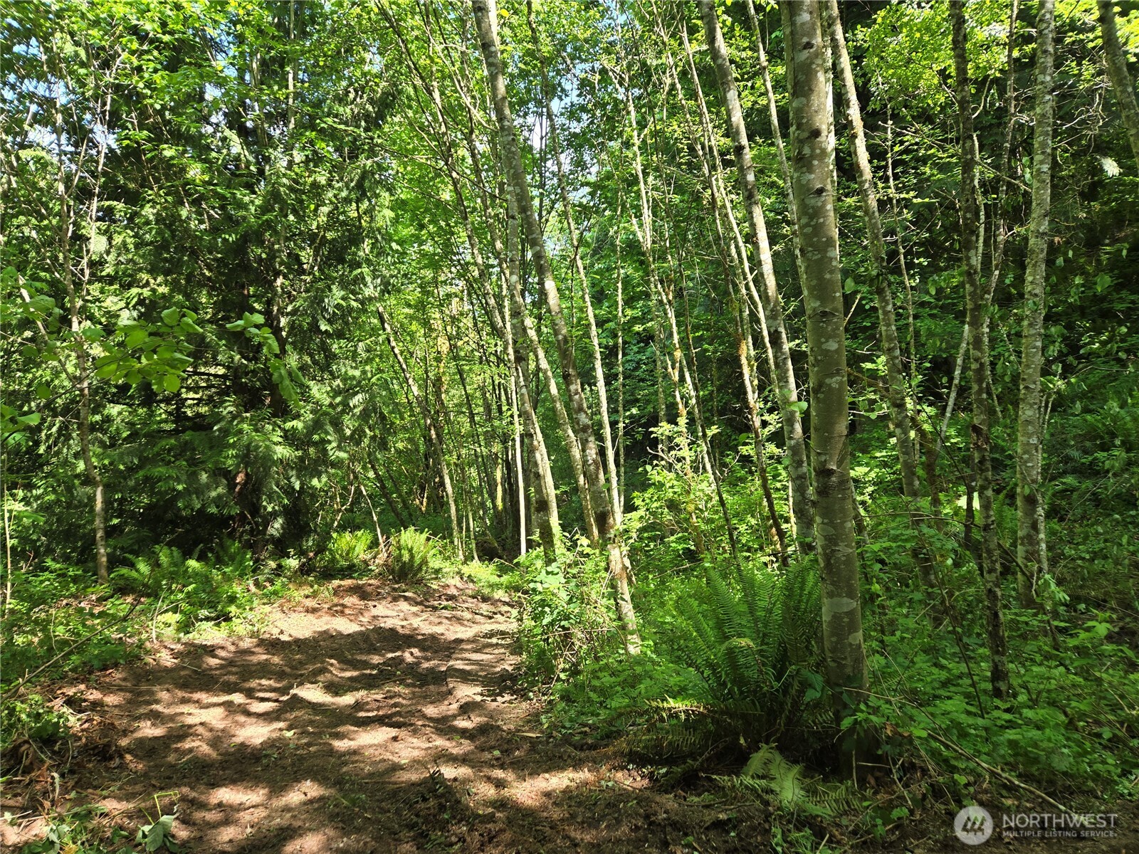 MLS #NWM2377337 image #16