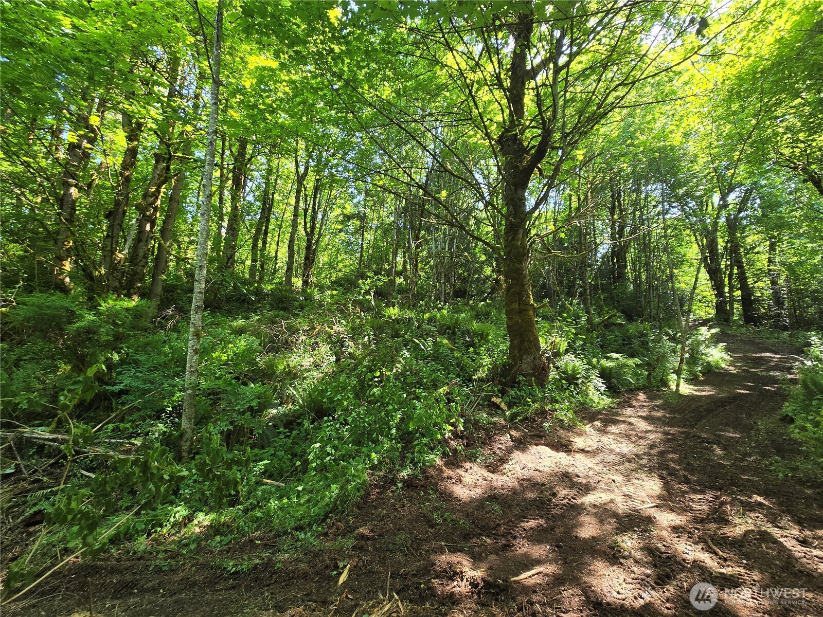 MLS #NWM2377337 image #17