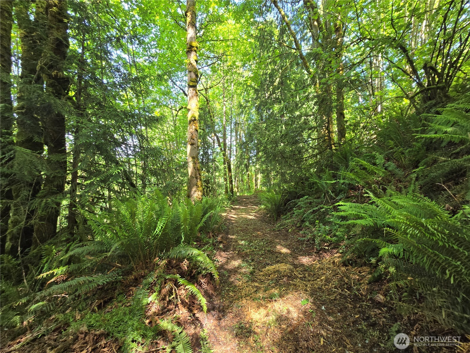 MLS #NWM2377337 image #18