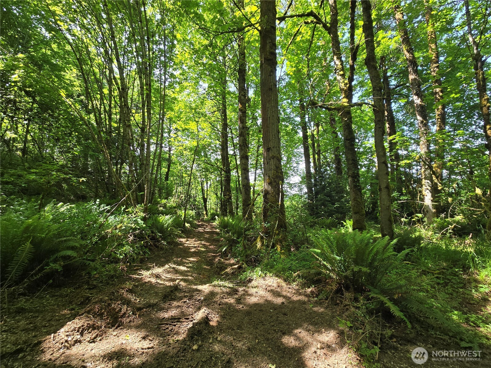 MLS #NWM2377337 image #19