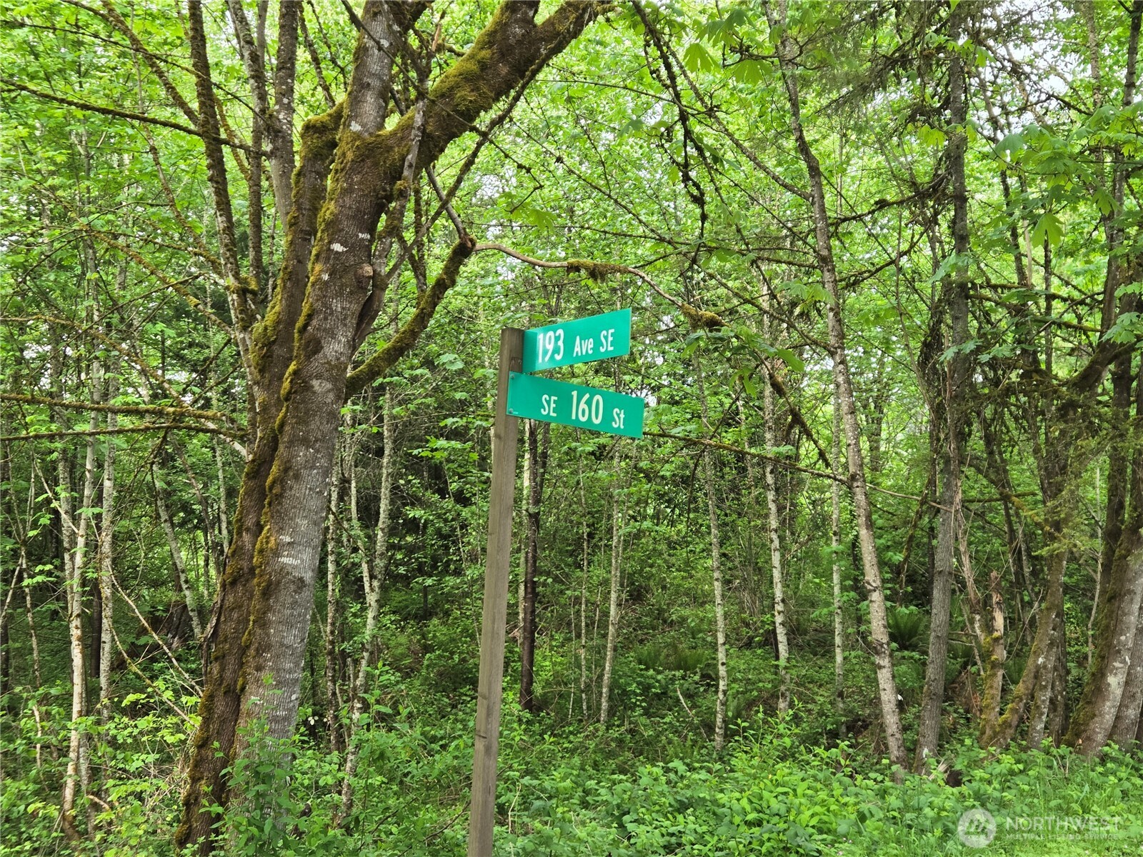 MLS #NWM2377337 image #2