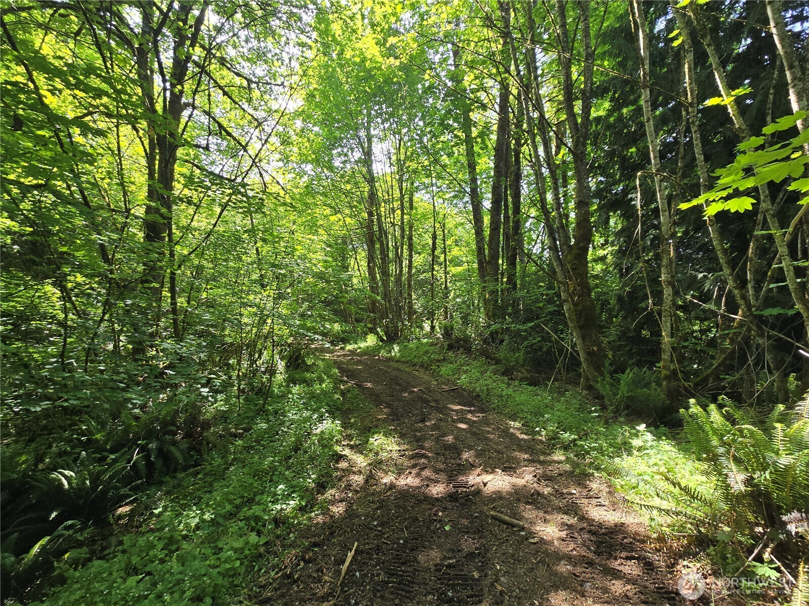 MLS #NWM2377337 image #20