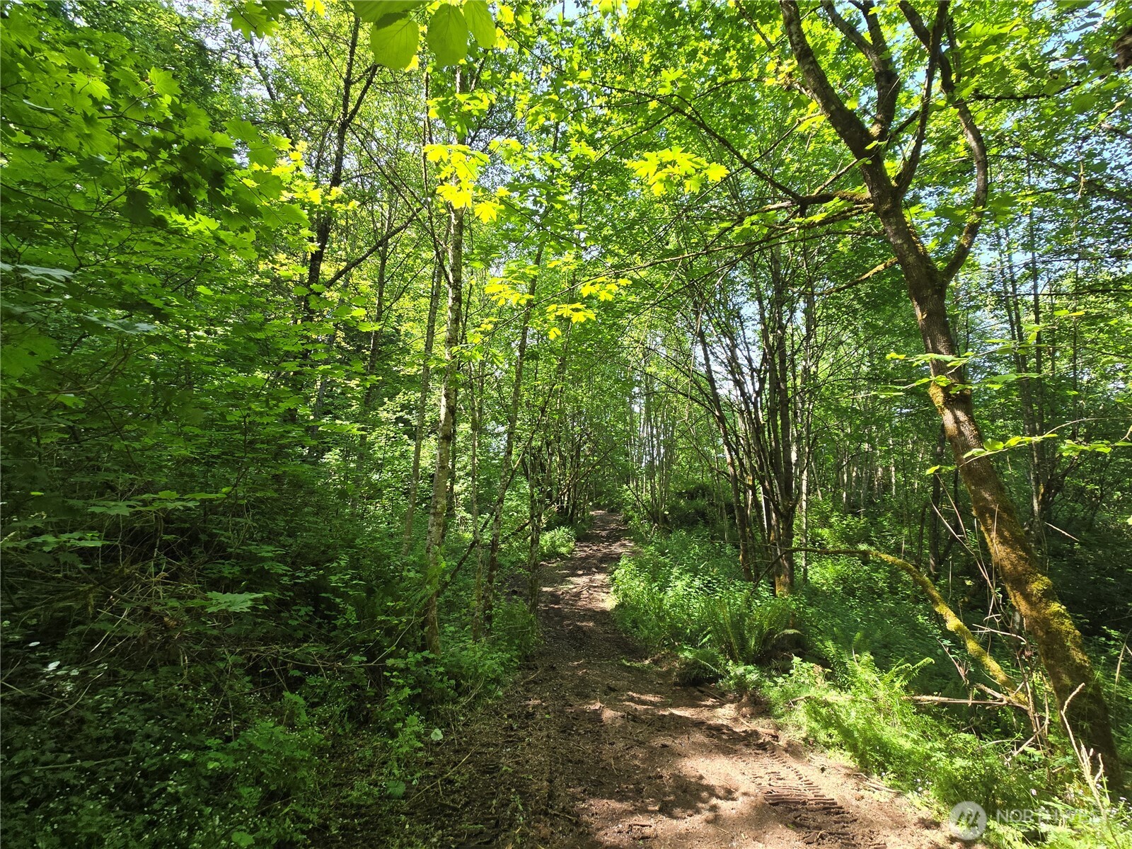 MLS #NWM2377337 image #21