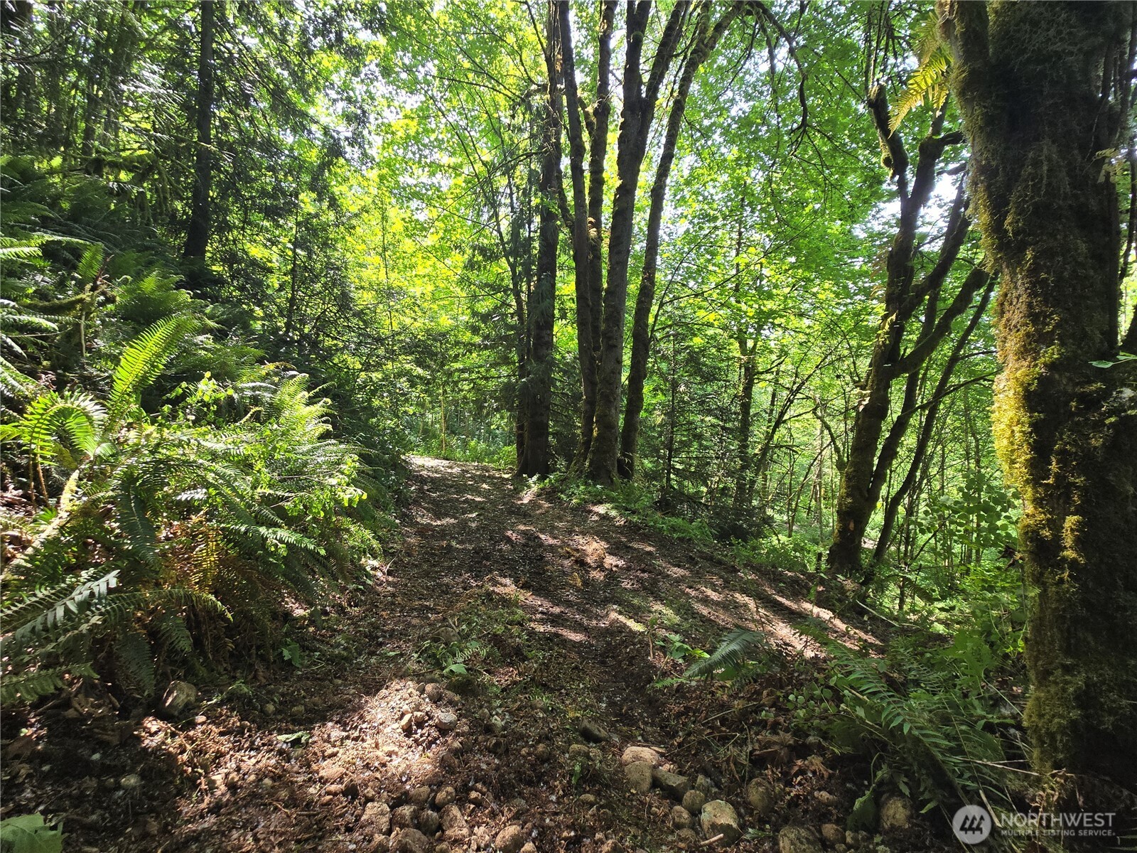 MLS #NWM2377337 image #22