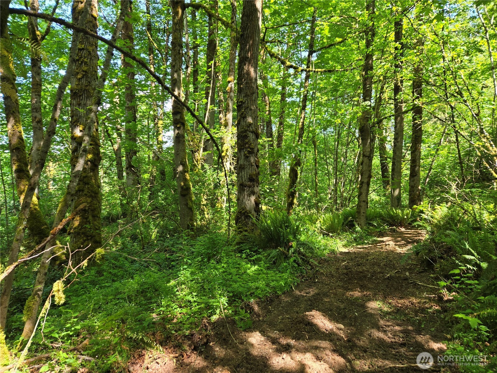 MLS #NWM2377337 image #23