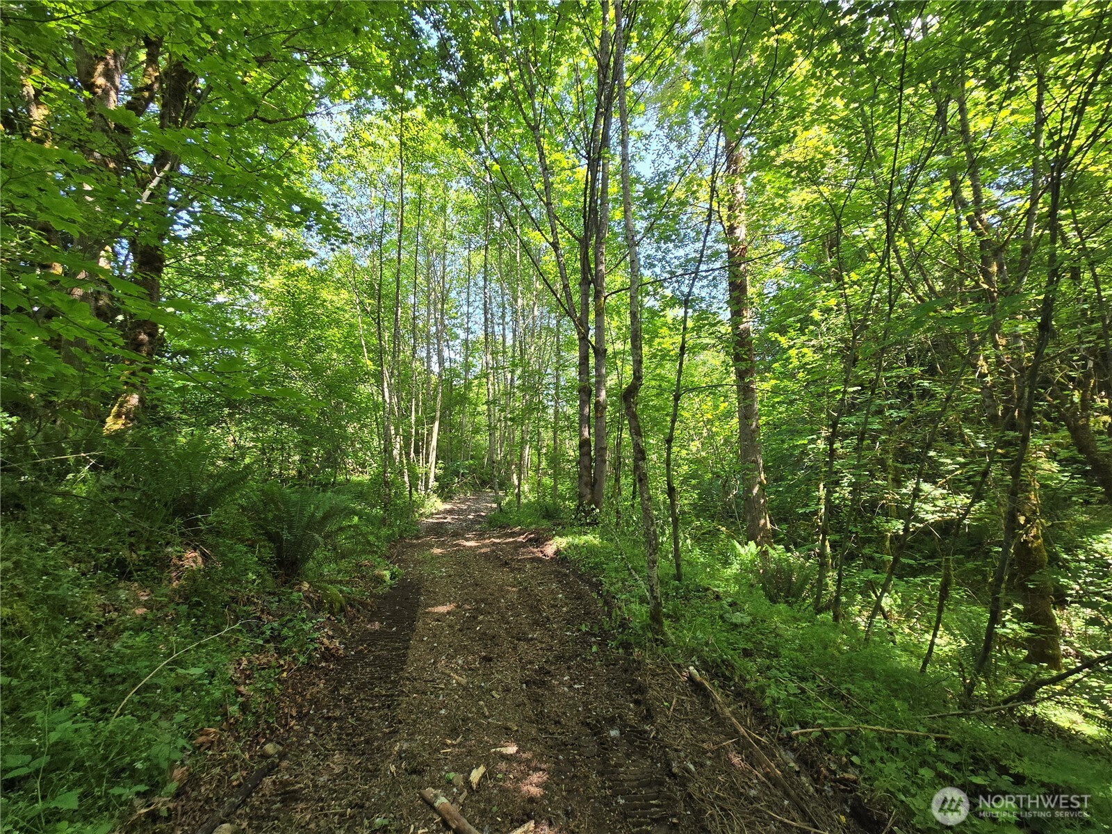 MLS #NWM2377337 image #25