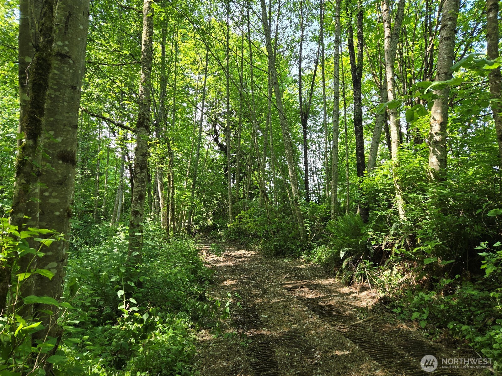 MLS #NWM2377337 image #27