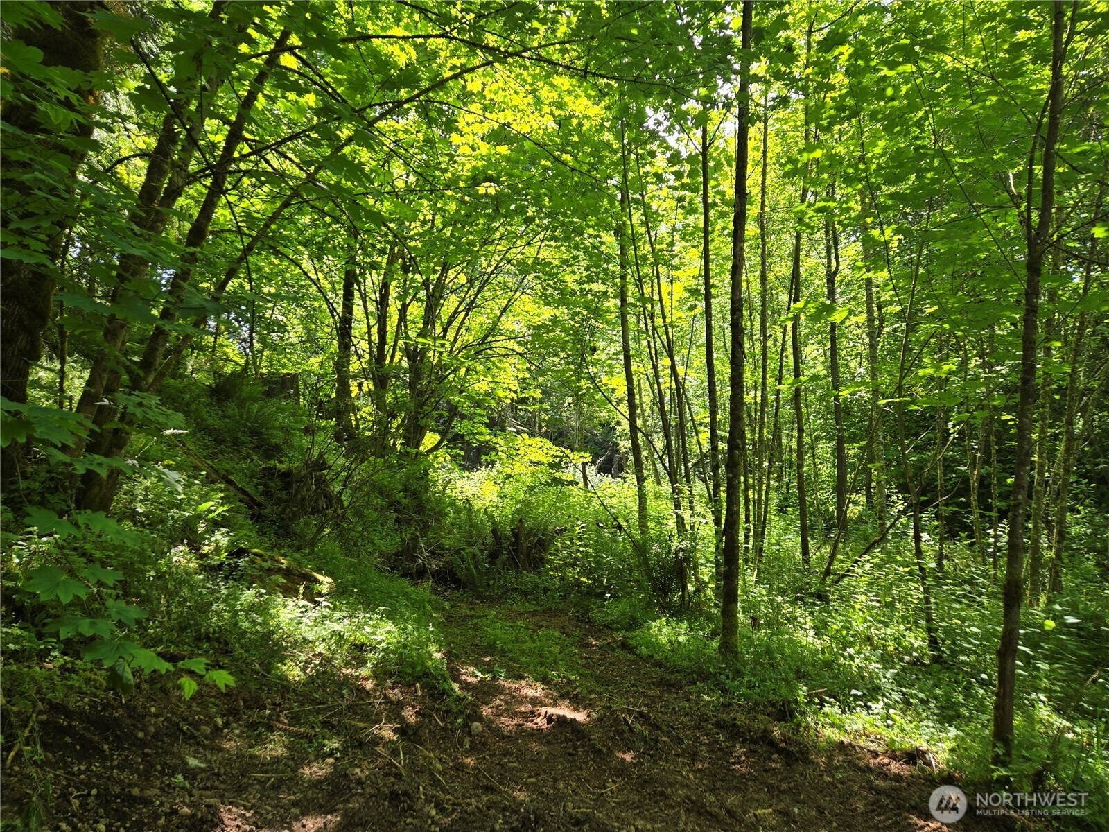 MLS #NWM2377337 image #28