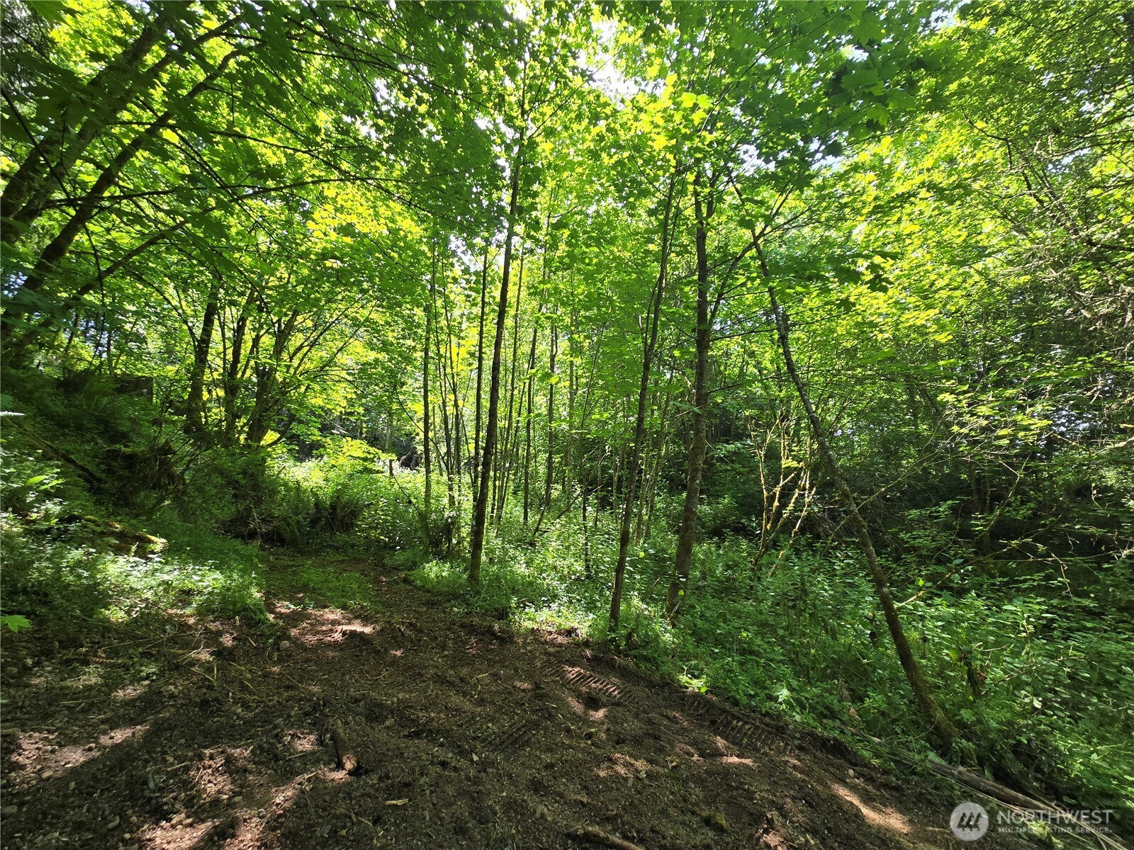 MLS #NWM2377337 image #29