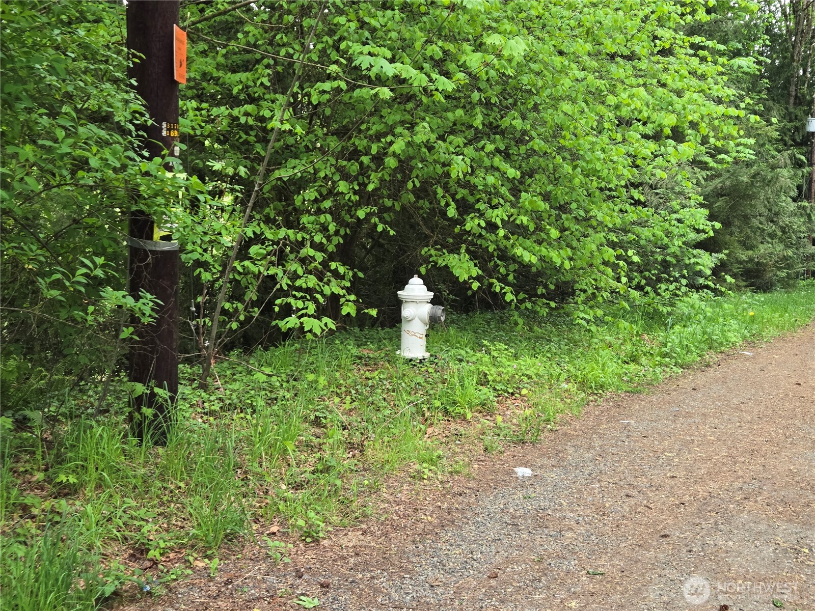 MLS #NWM2377337 image #3