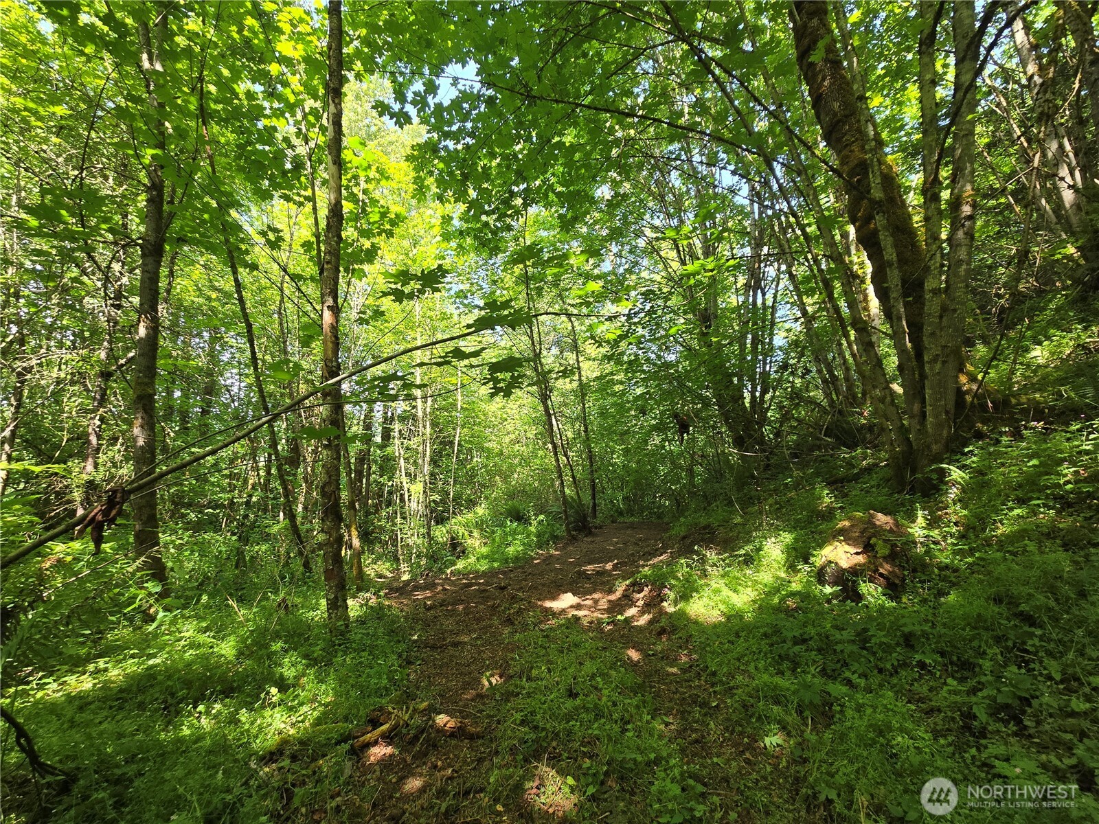 MLS #NWM2377337 image #30