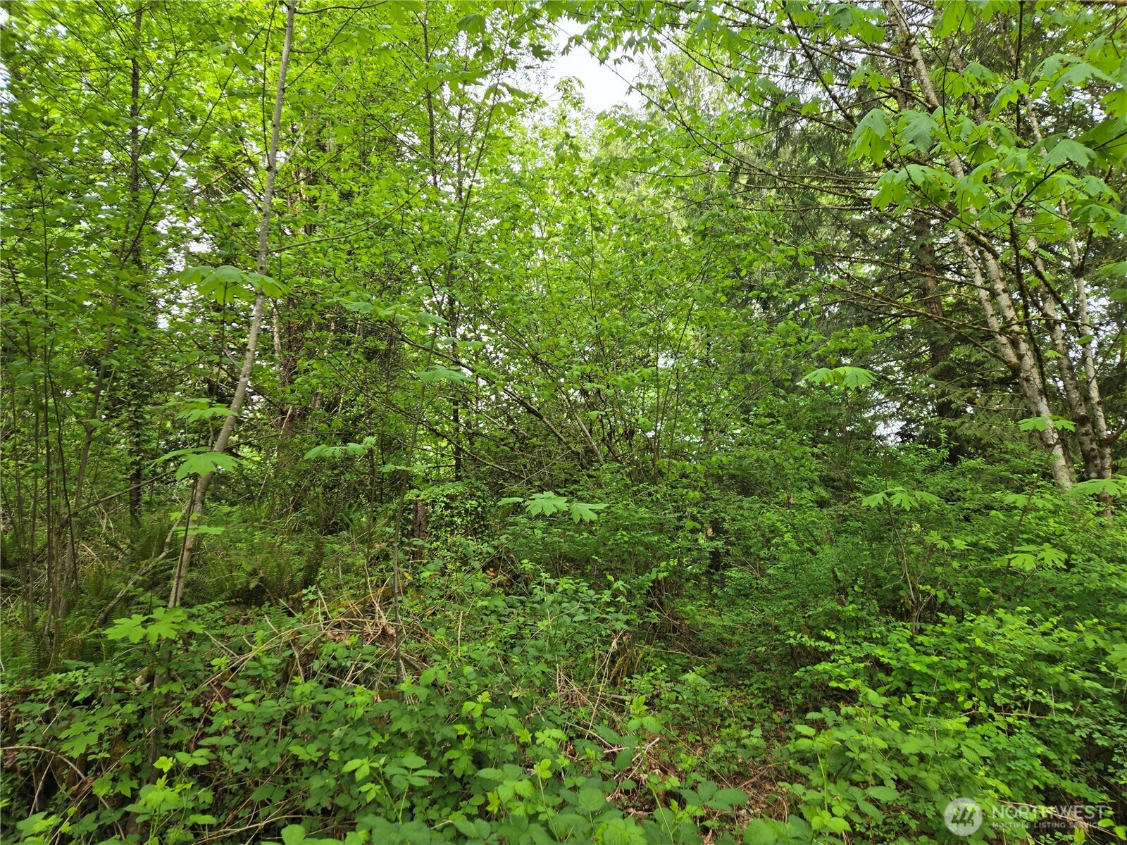 MLS #NWM2377337 image #7