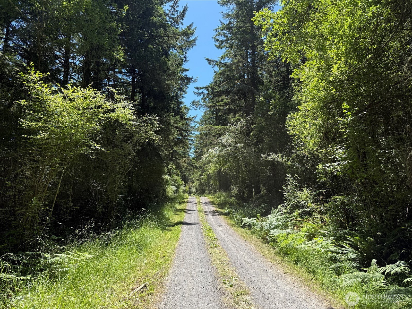 MLS #NWM2389981 image #0