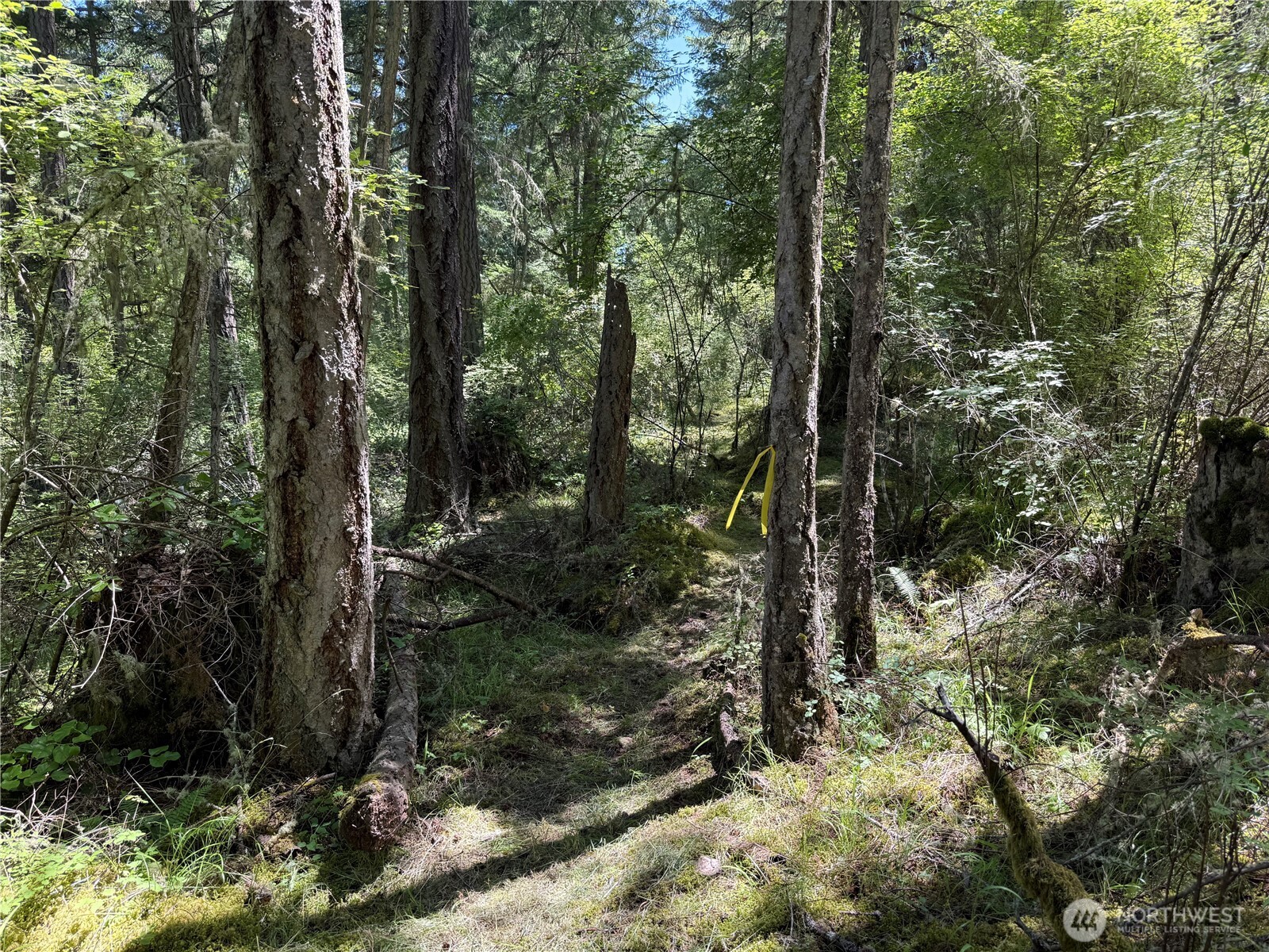 MLS #NWM2389981 image #1