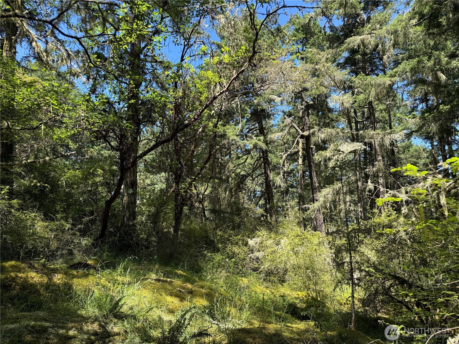 MLS #NWM2389981 image #10