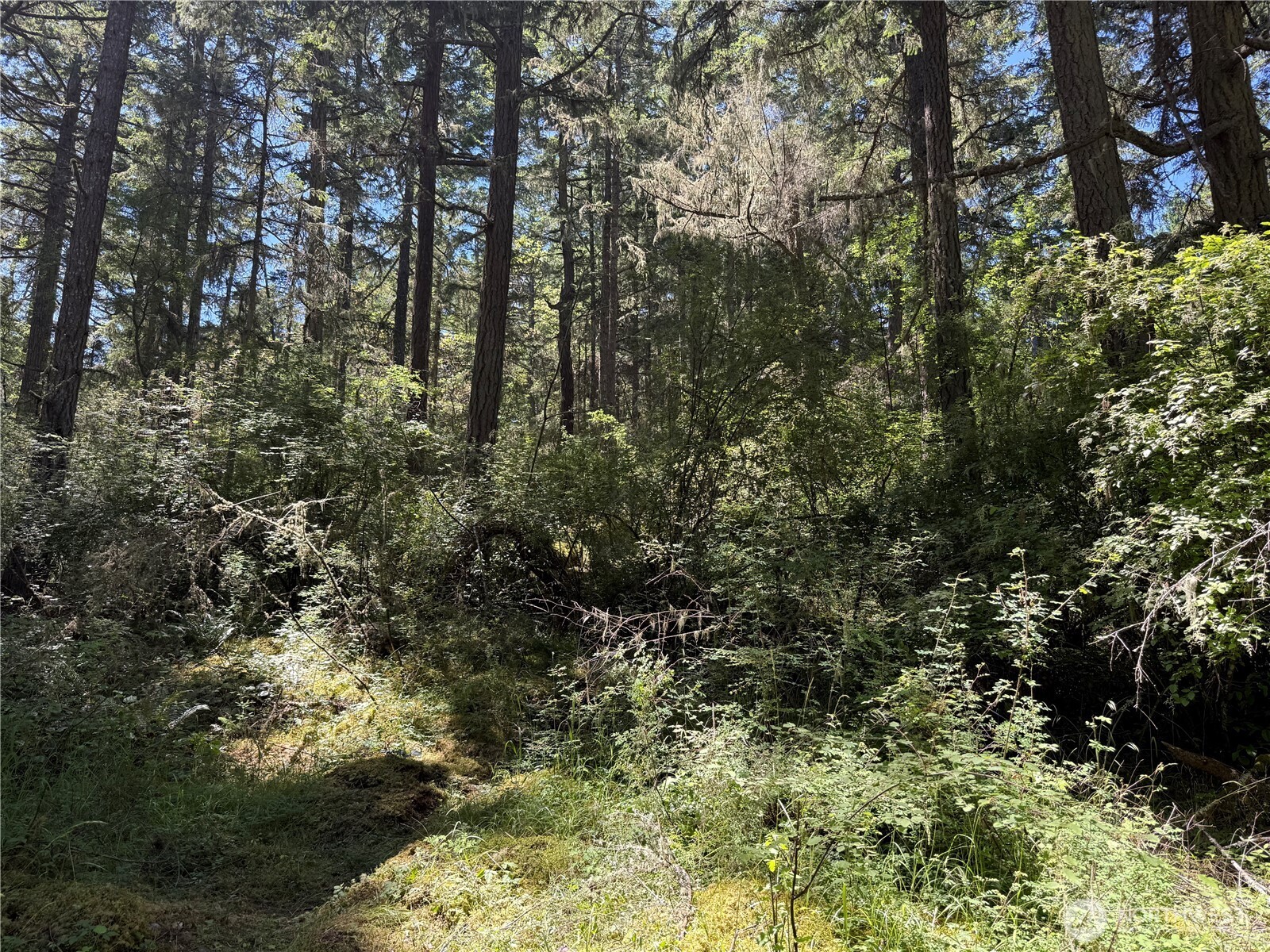 MLS #NWM2389981 image #11