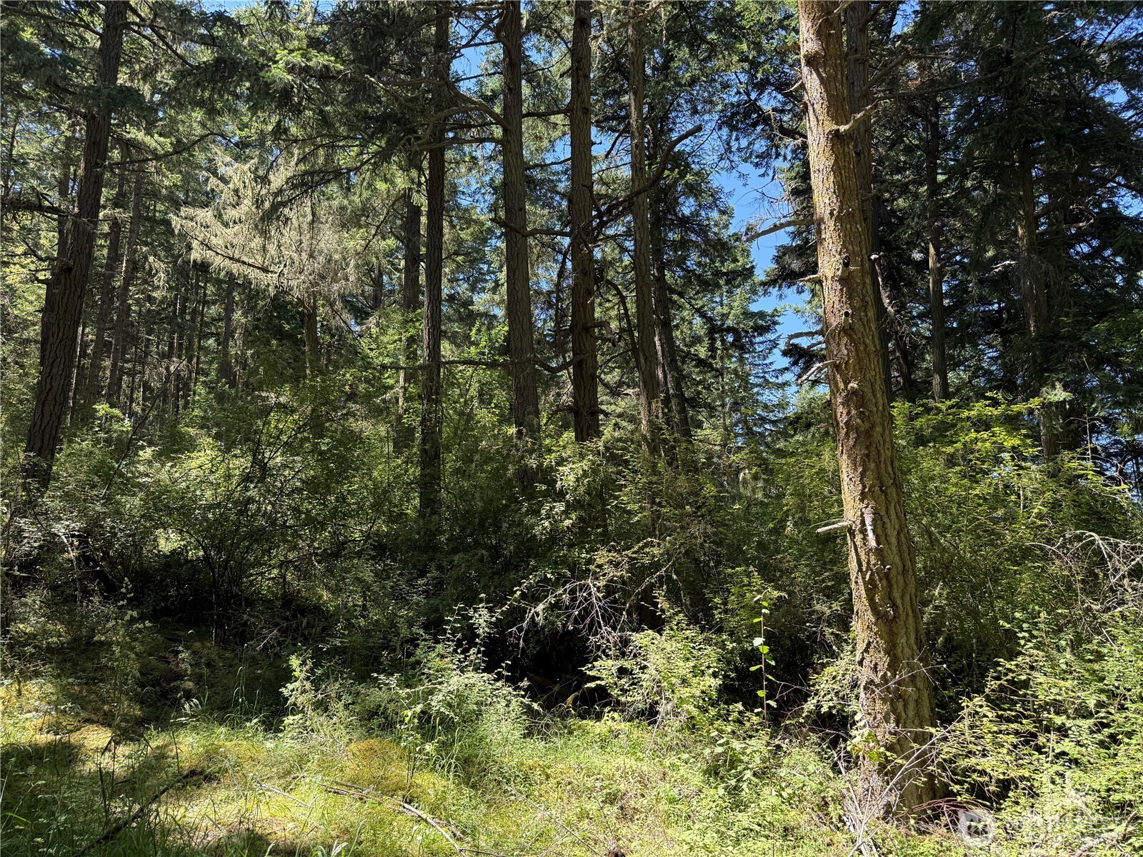 MLS #NWM2389981 image #2