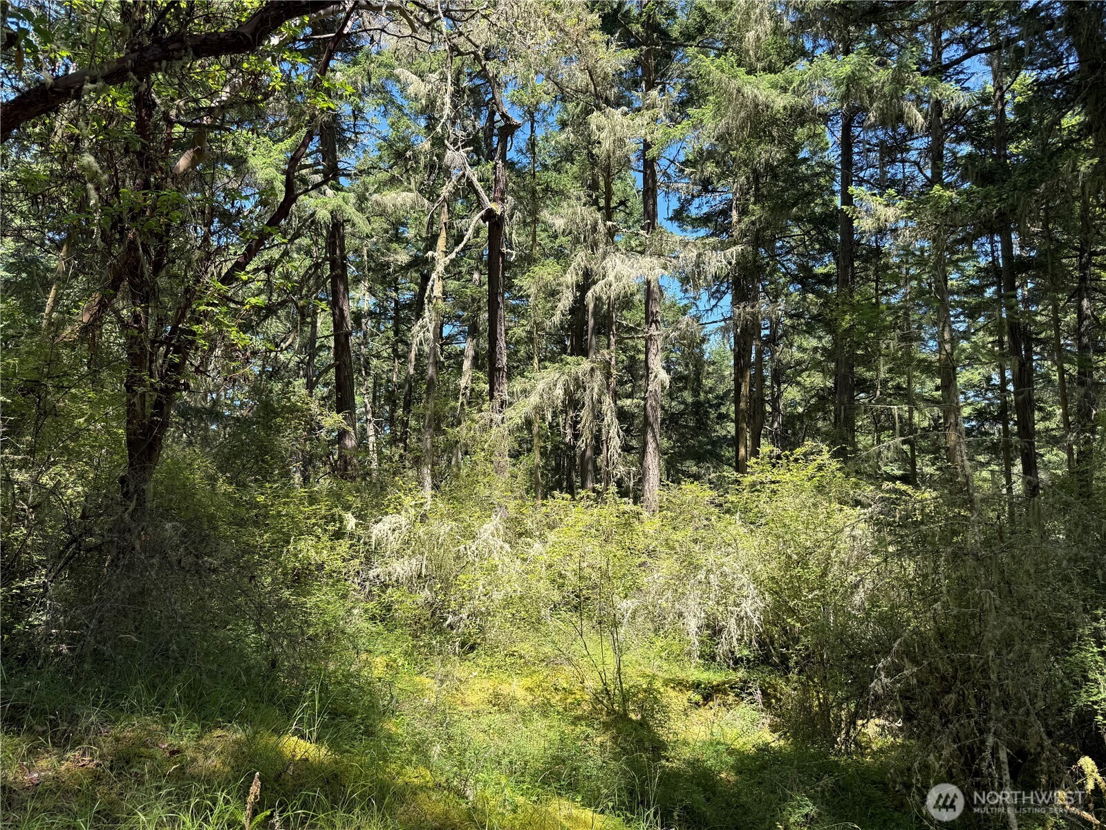 MLS #NWM2389981 image #8