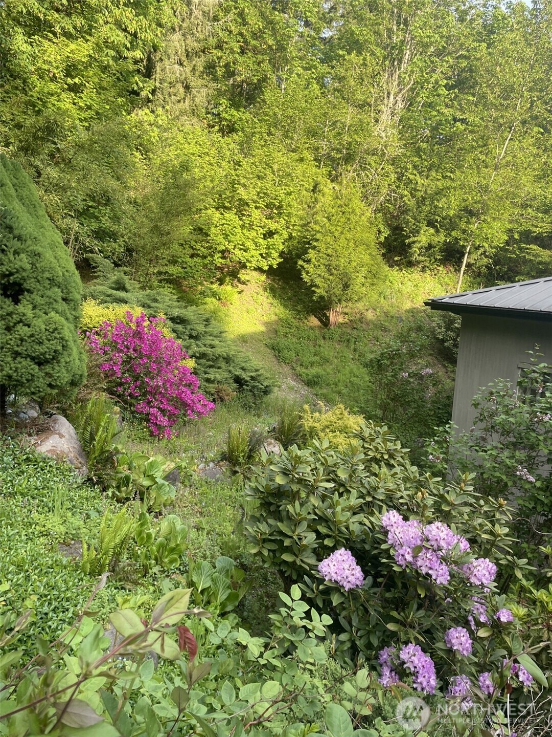 MLS #NWM2415268 image #34