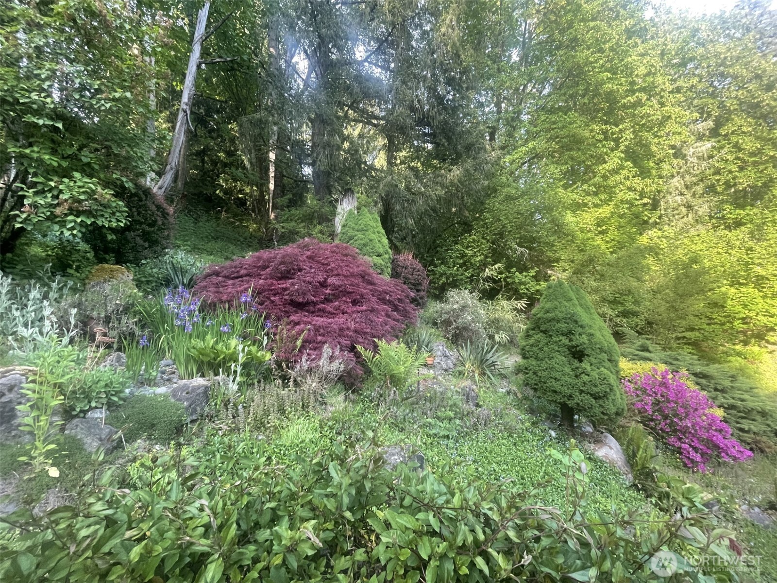 MLS #NWM2415268 image #35