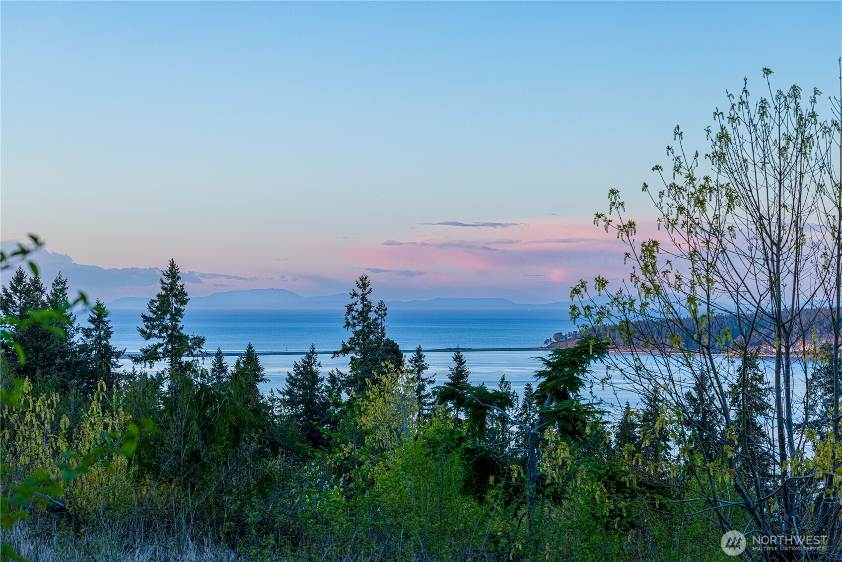 MLS #NWM2417032 image #8