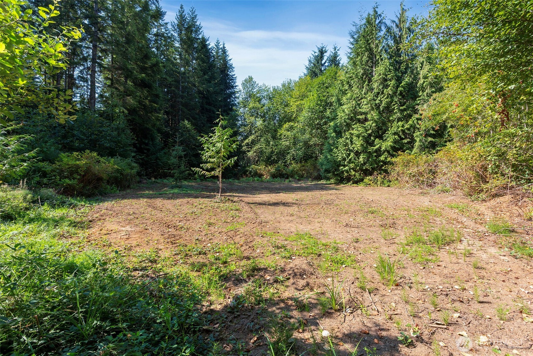 MLS #NWM2427073 image #35