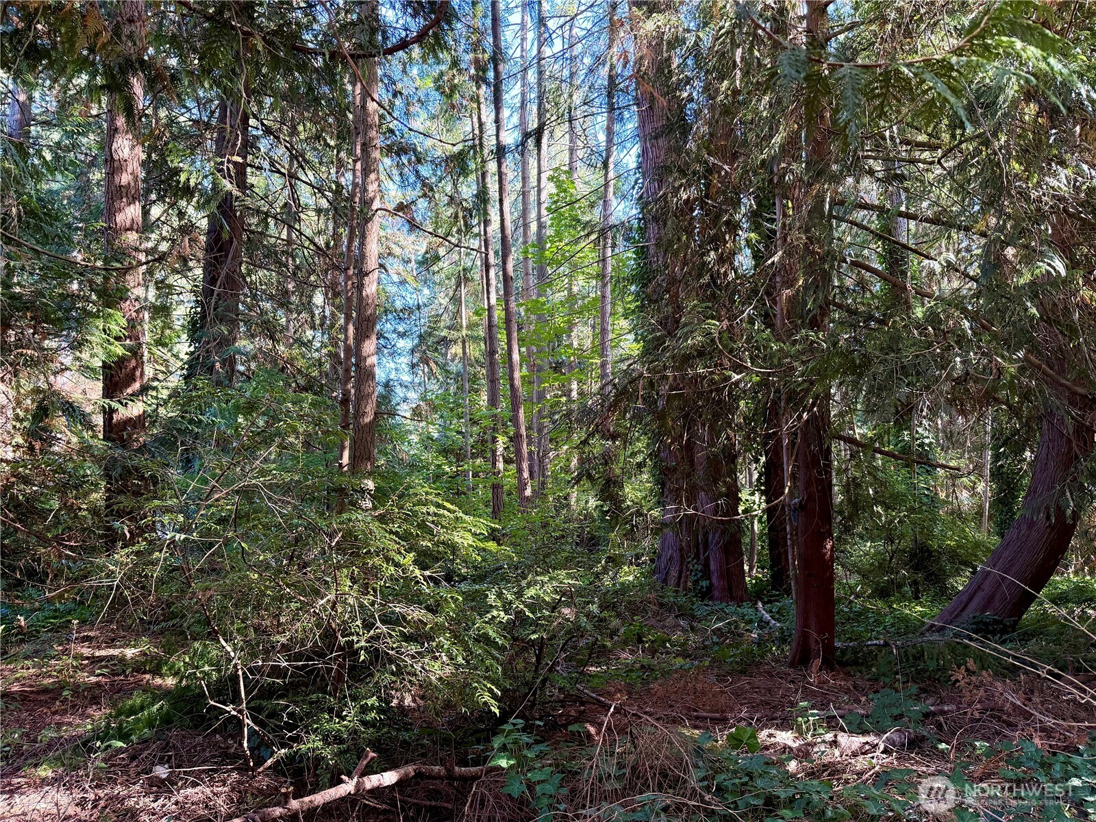 MLS #NWM2488719 img 31