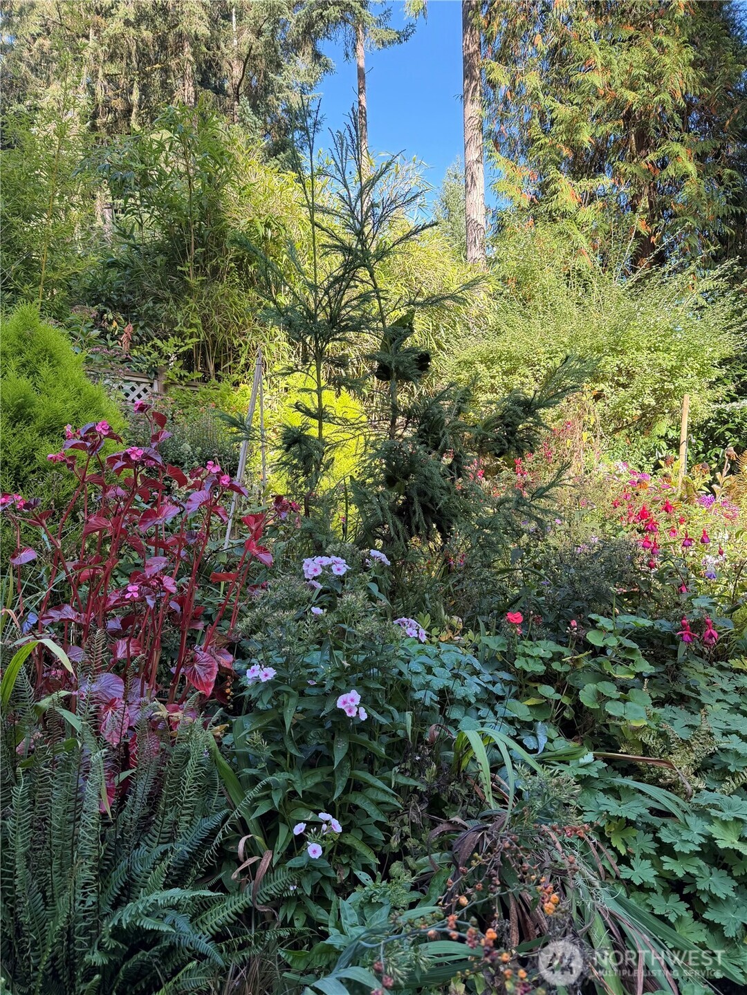 MLS #NWM2488719 img 35