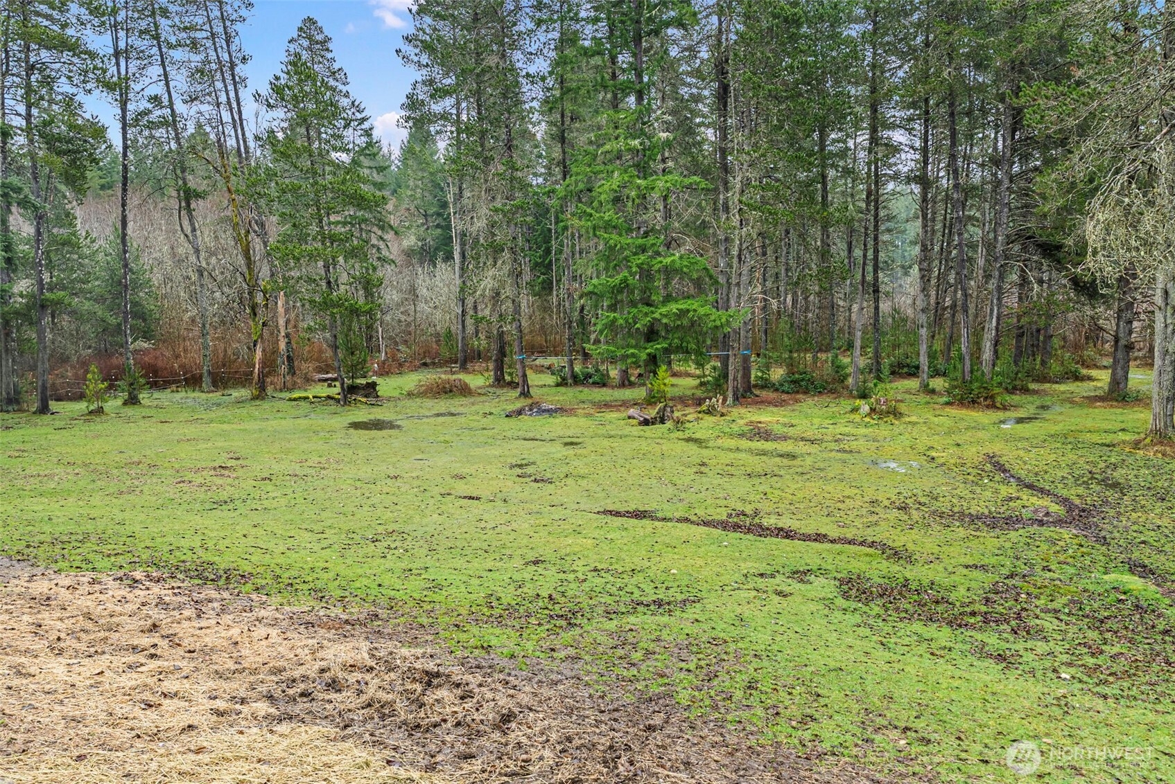 MLS #NWM2489291 img 25