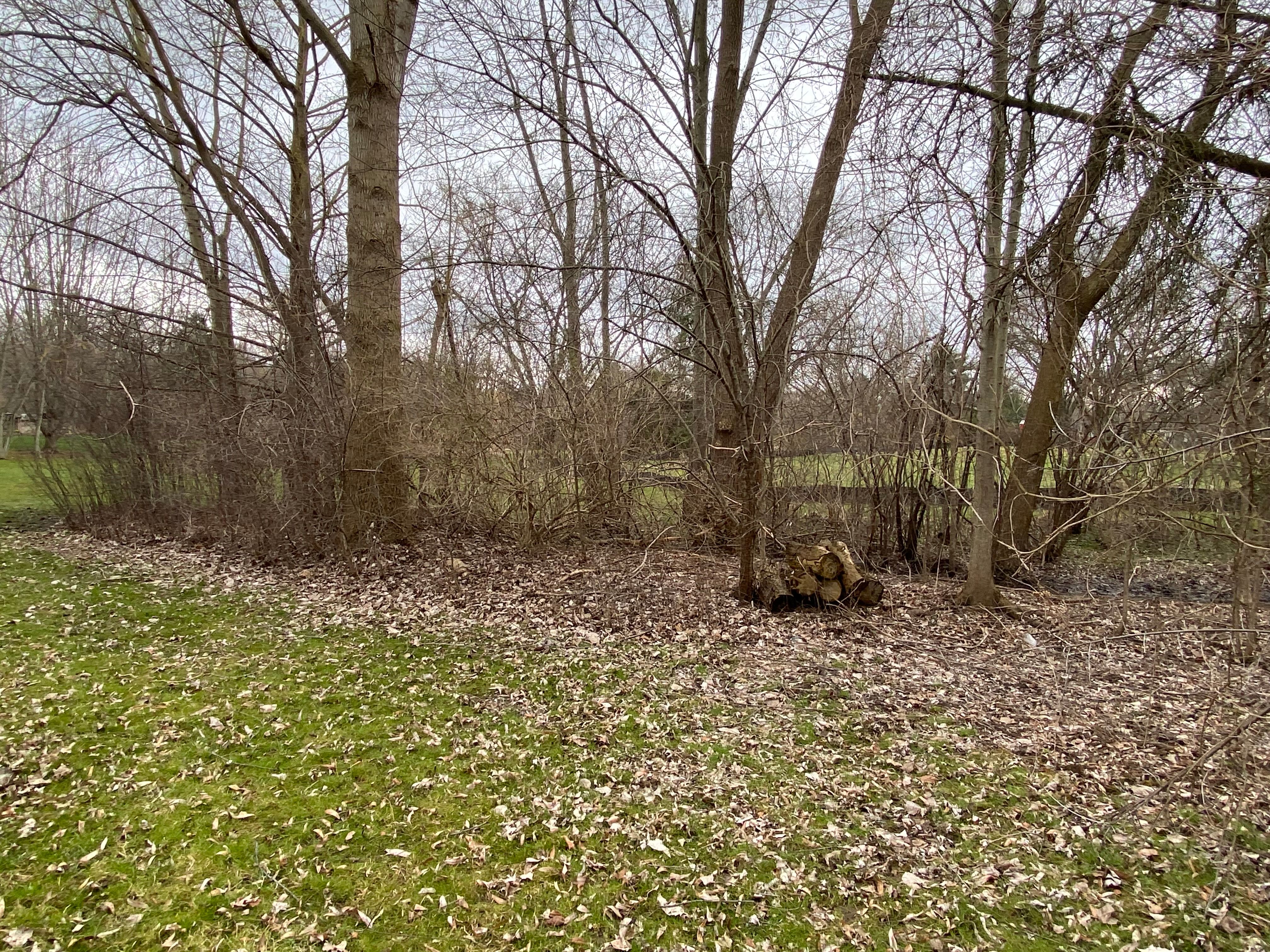 MLS #20240026109 img 0