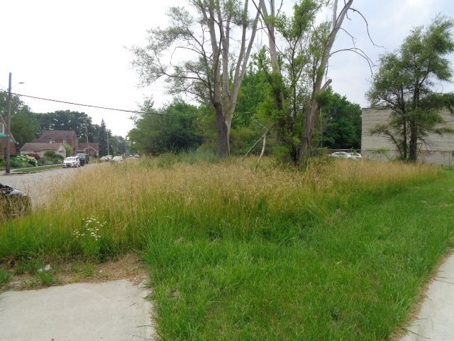 MLS #20240044293 img 0