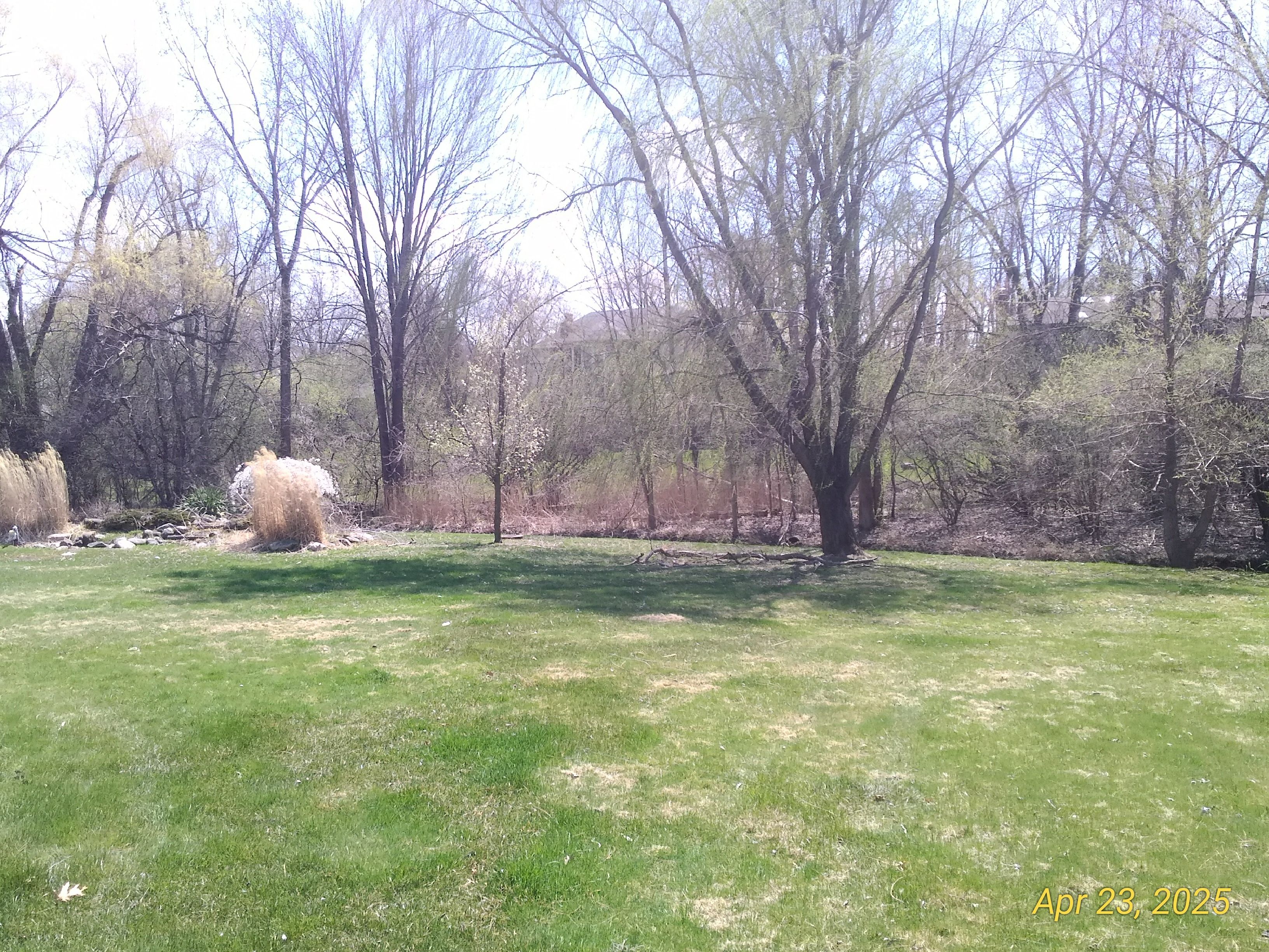 MLS #20250006883 img 0