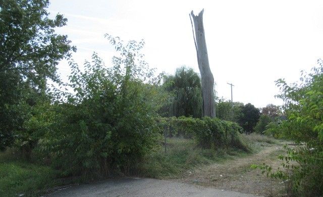 MLS #20250009637 img 0