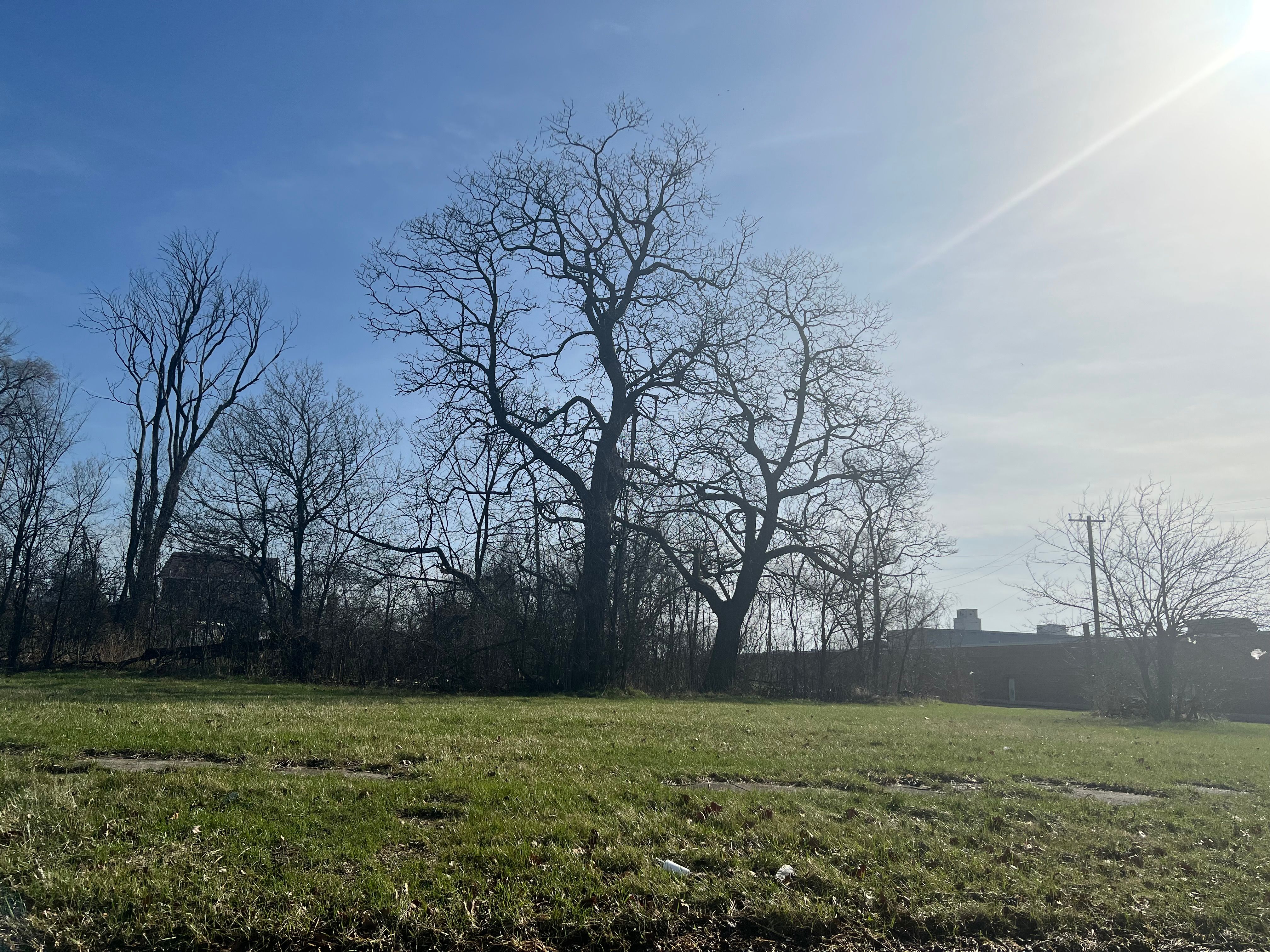 MLS #20250022249 img 0