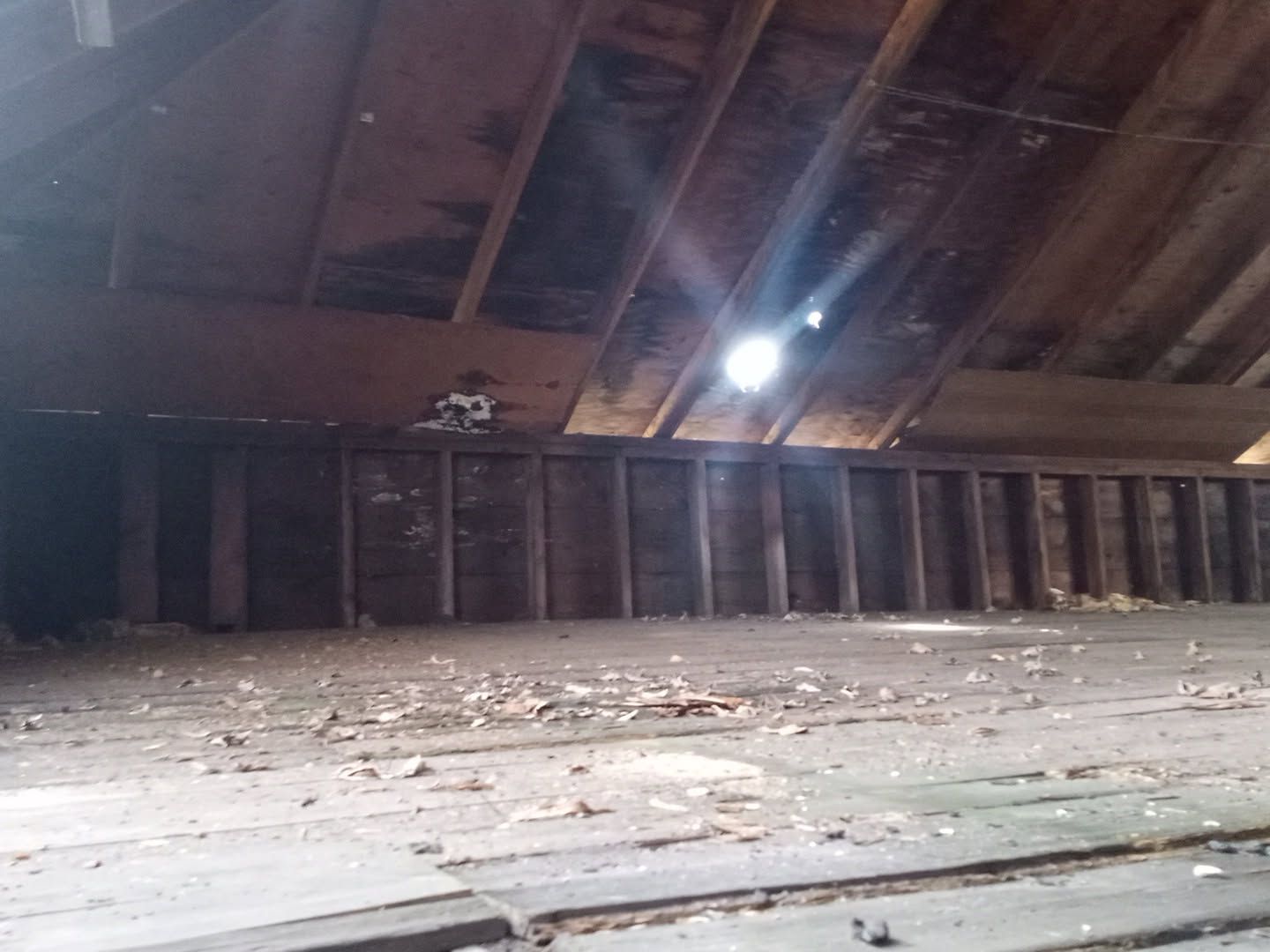 MLS #20250022254 img 0