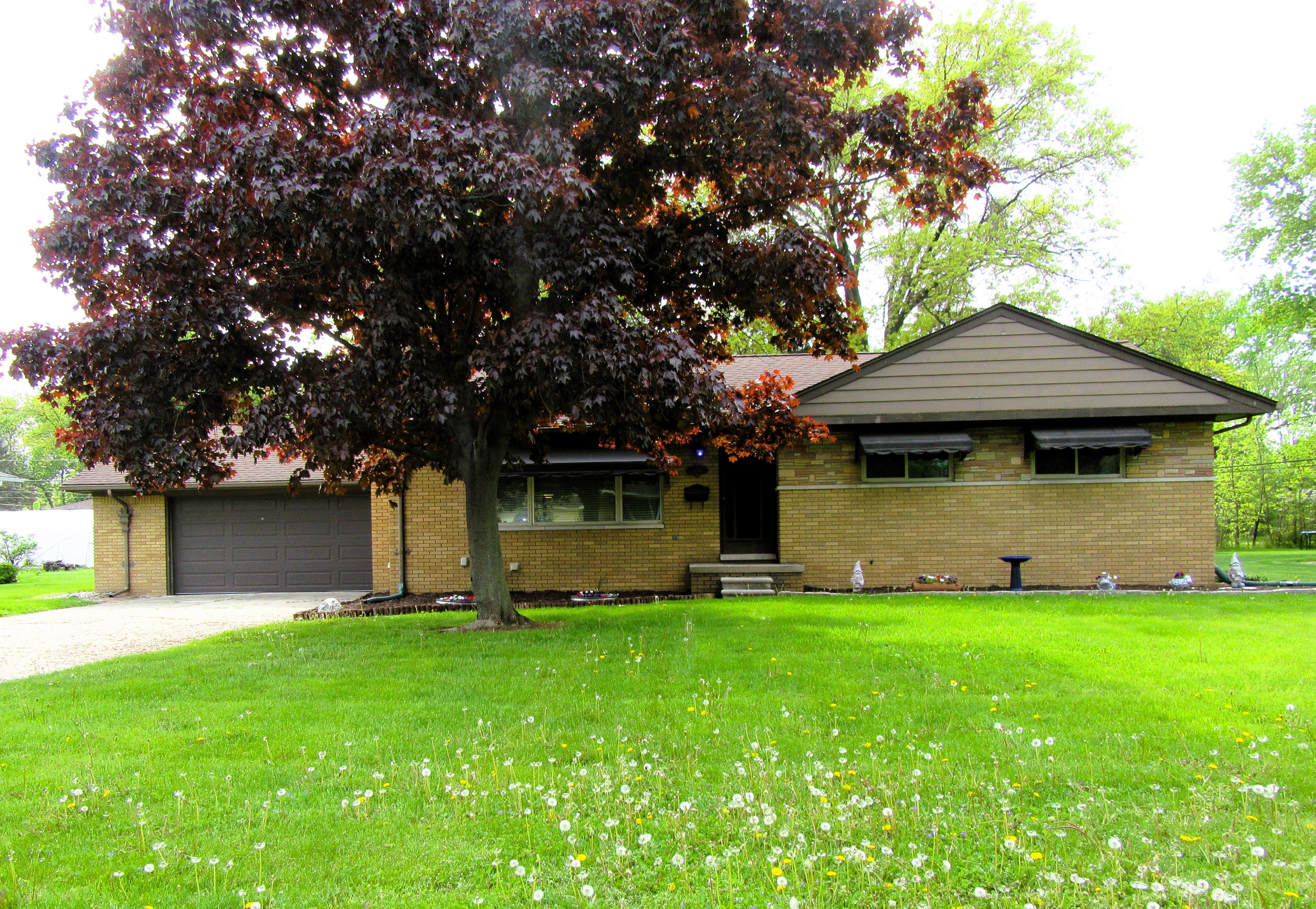 MLS #20250034756 img 0