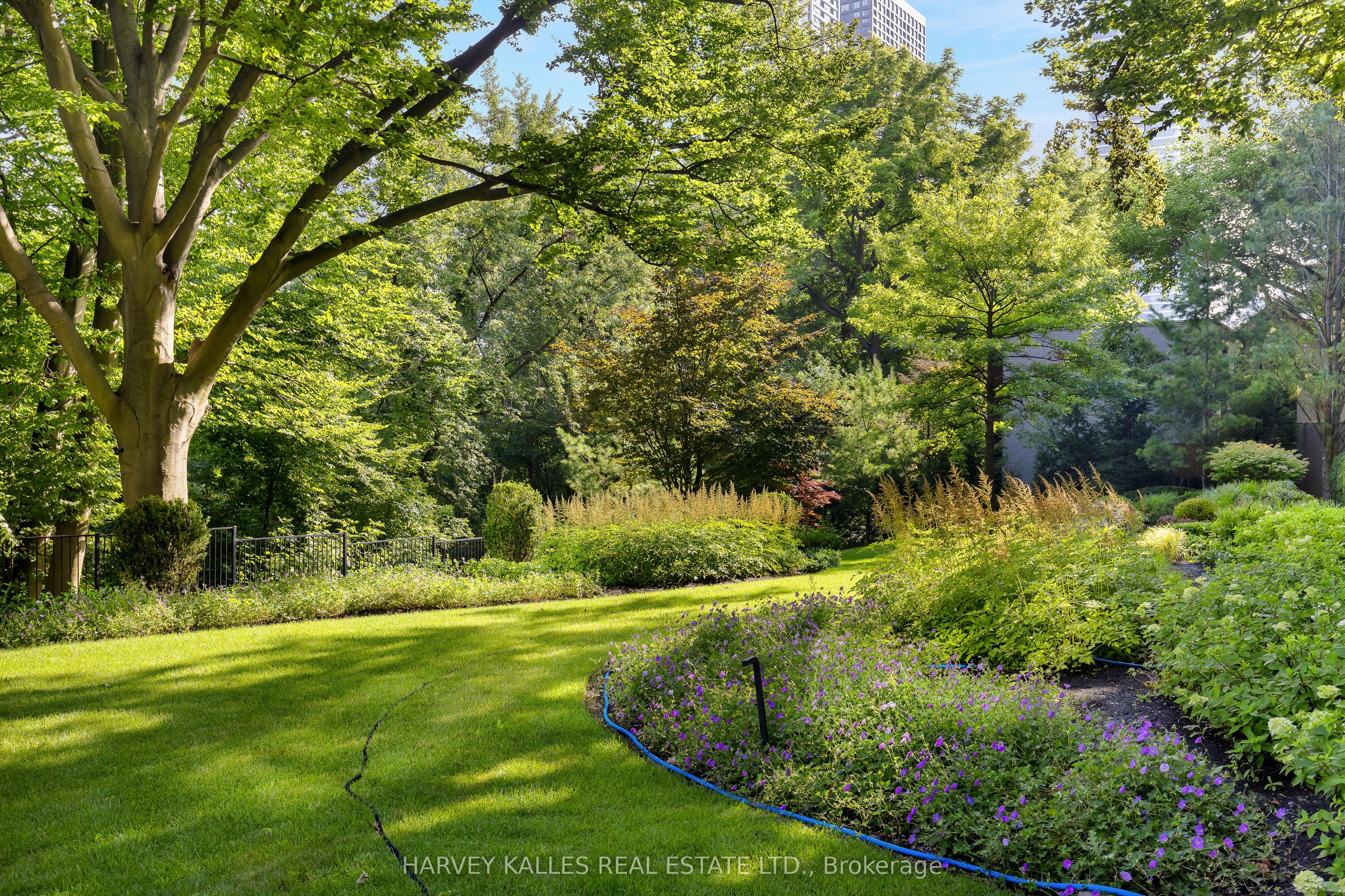 MLS #C12419669 image #48