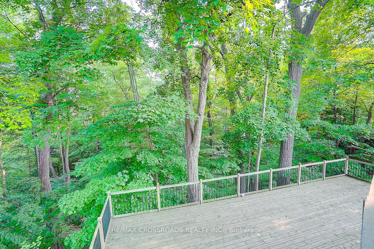 MLS #C12424950 image #27