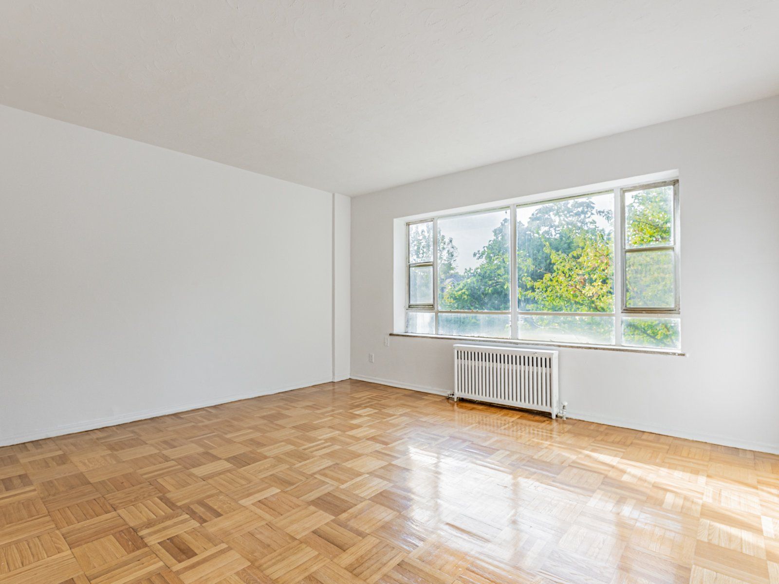 MLS #E12388855 image #0