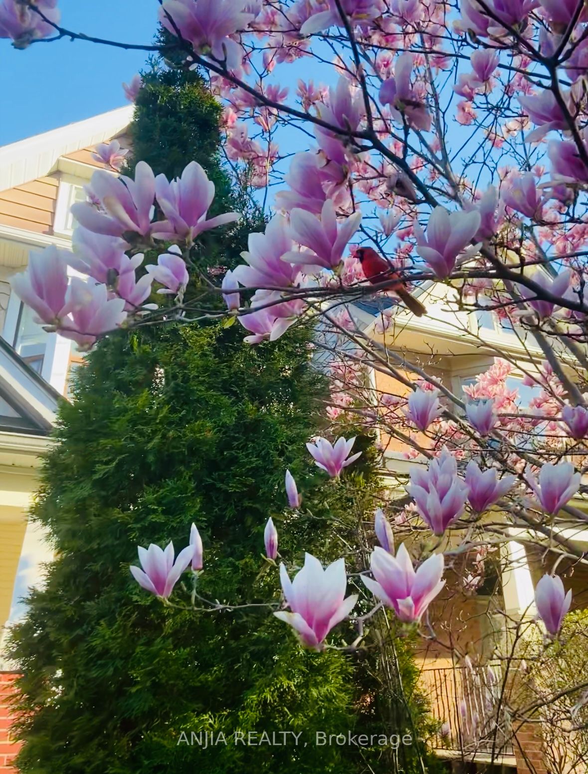 MLS #E12437623 image #1