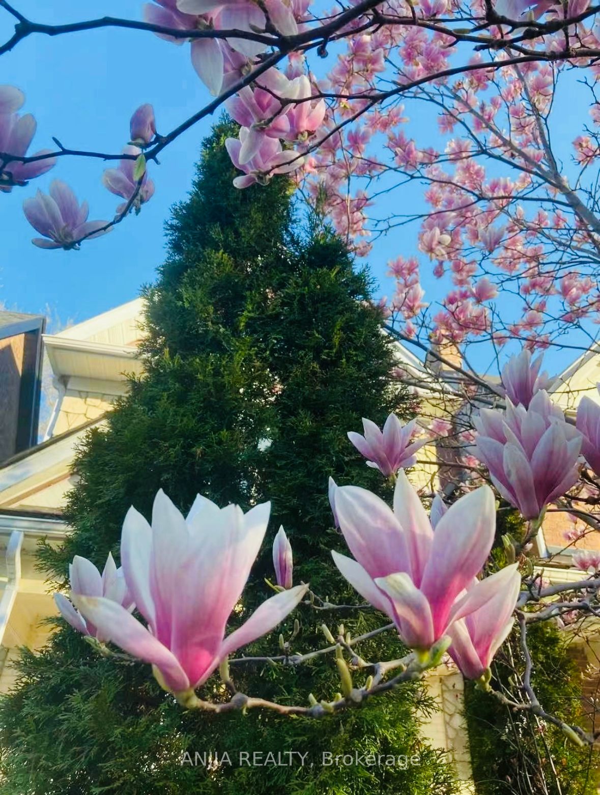 MLS #E12437623 image #16