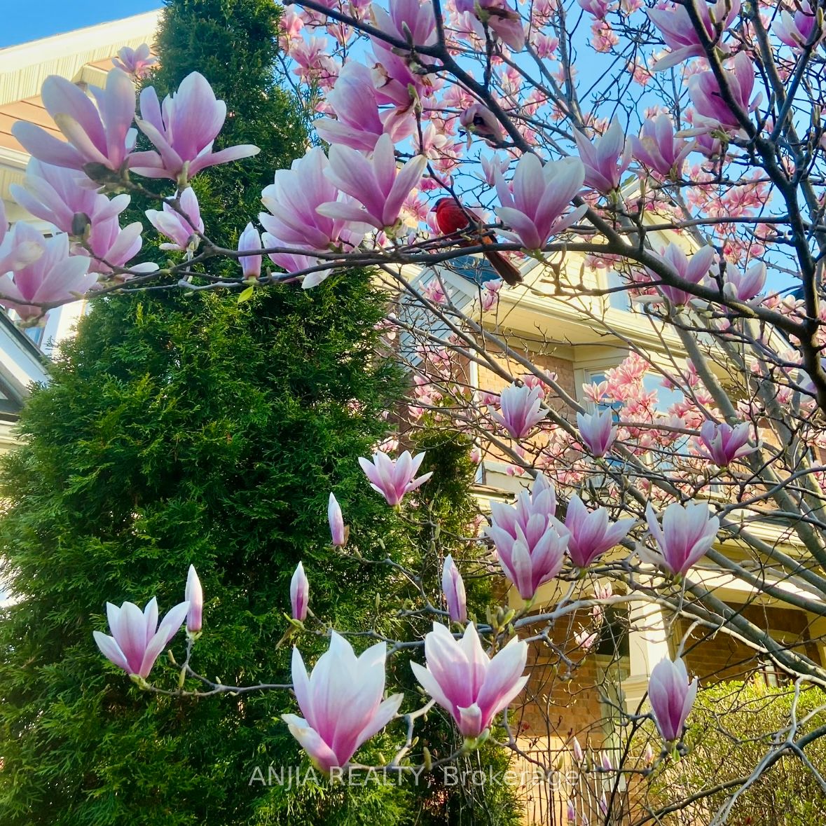 MLS #E12437623 image #17