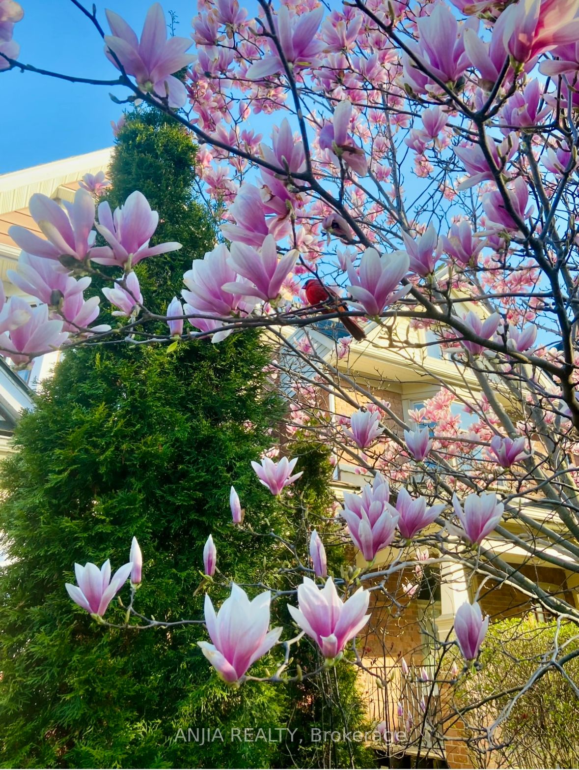 MLS #E12437623 image #18