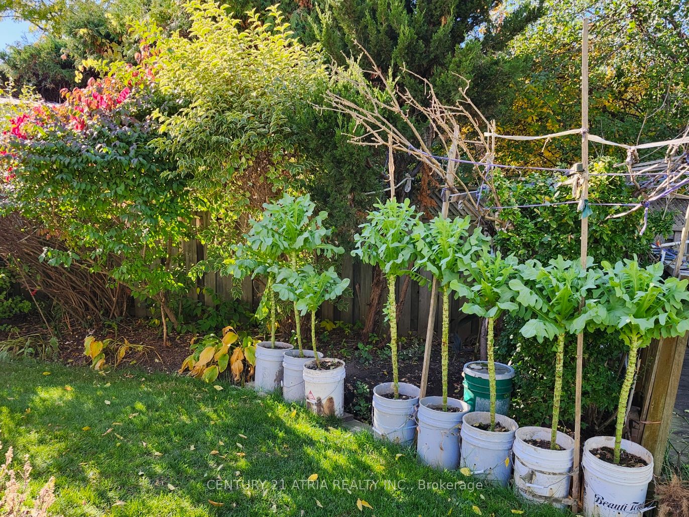 MLS #E12484902 image #24