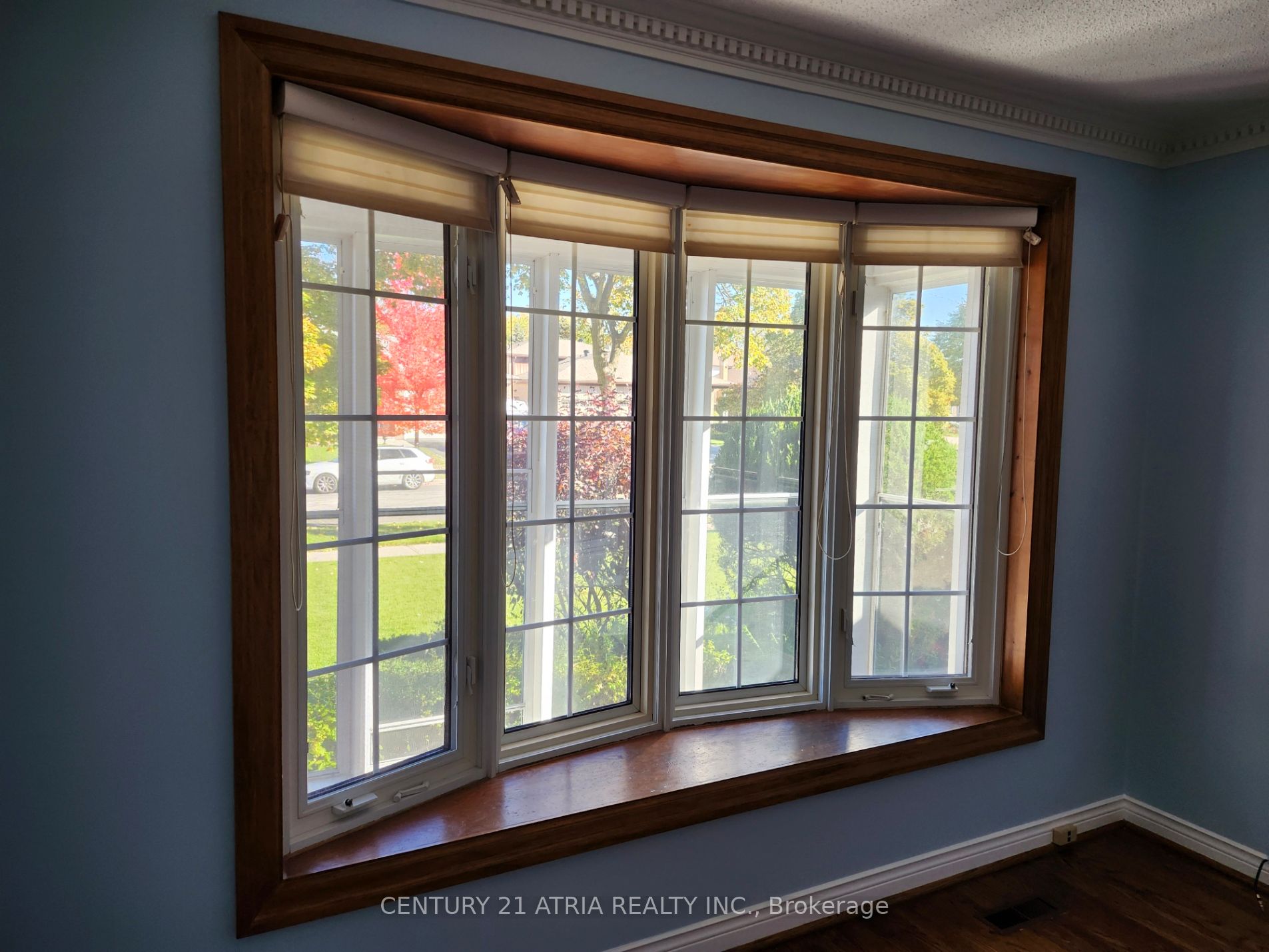 MLS #E12484902 image #4