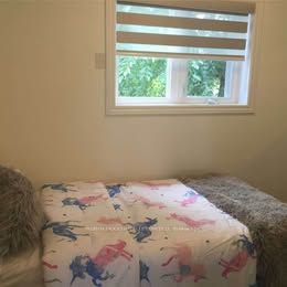 MLS #E12486065 image #1