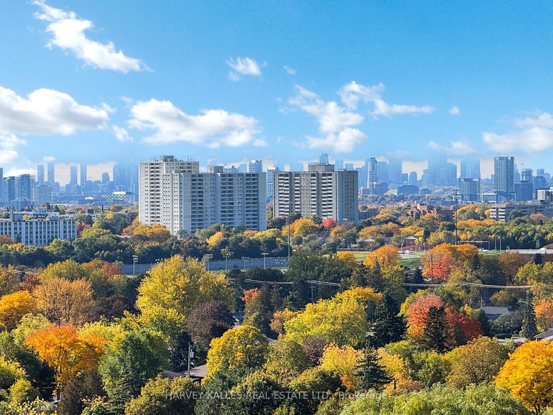 MLS #E12498168 image #48