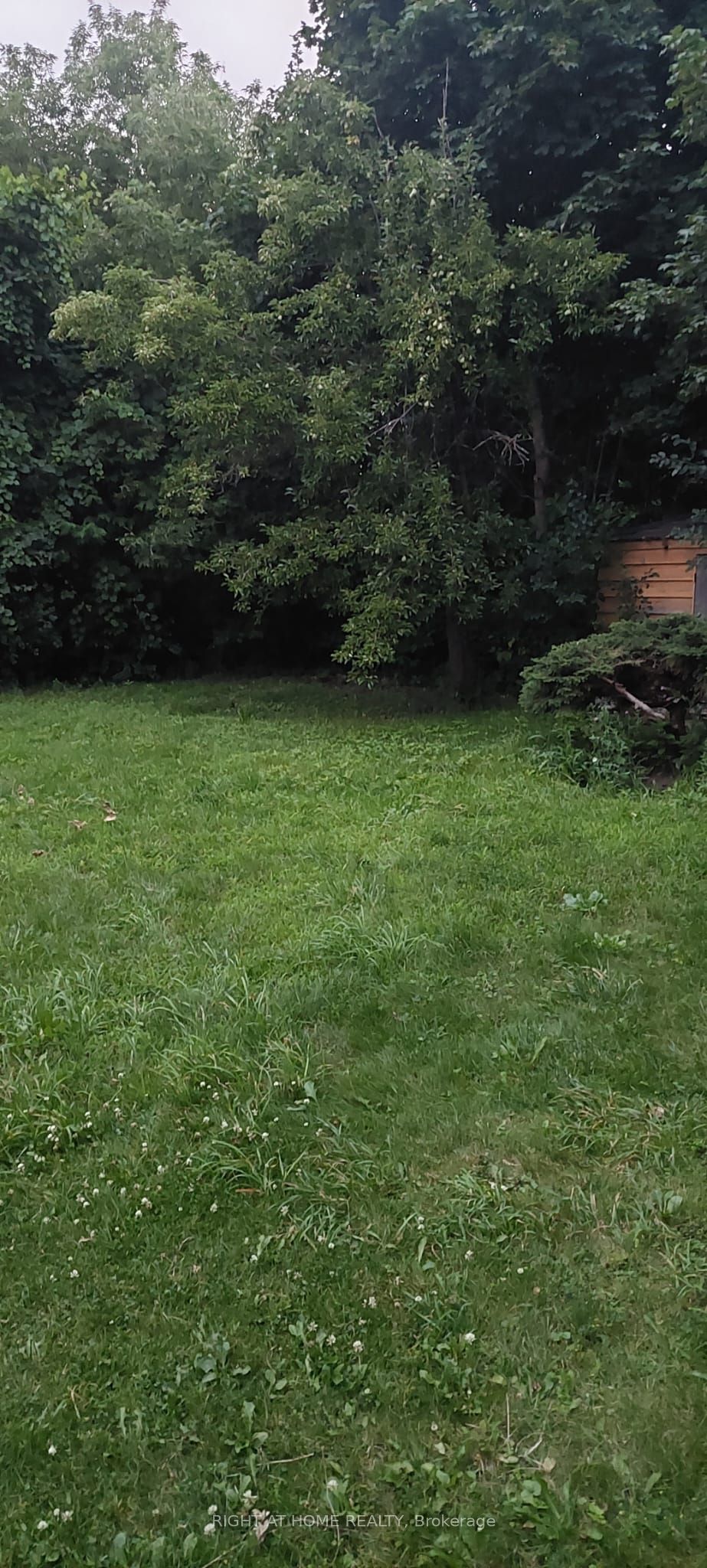 MLS #N12375412 image #12