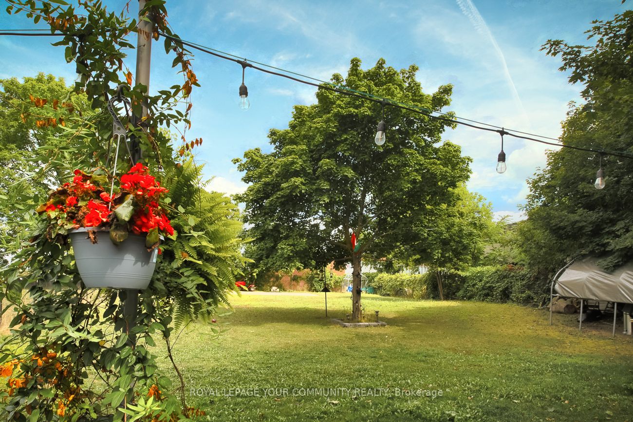 MLS #N12386074 image #37