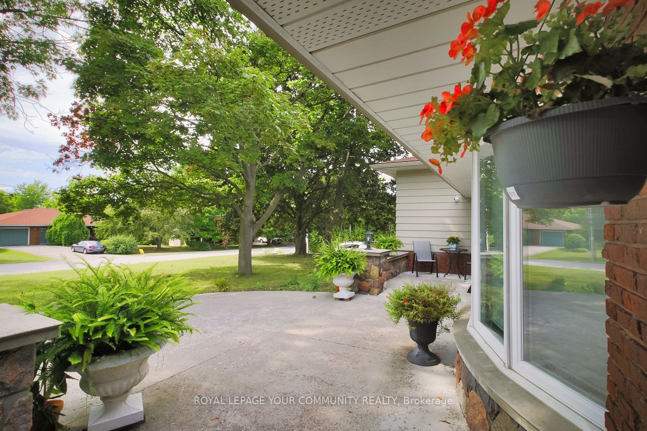 MLS #N12386074 image #4